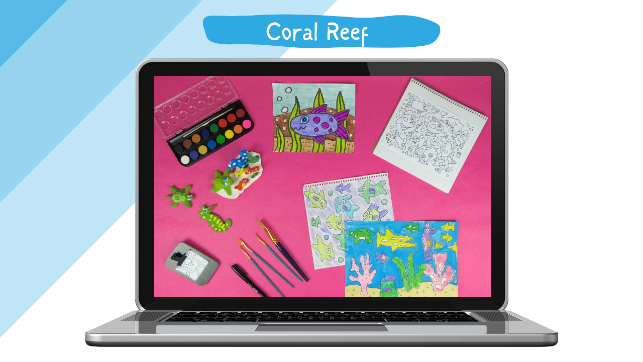 Mega Box: Coral Reef